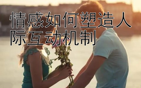 情感如何塑造人际互动机制