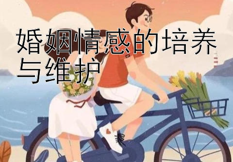 婚姻情感的培养与维护