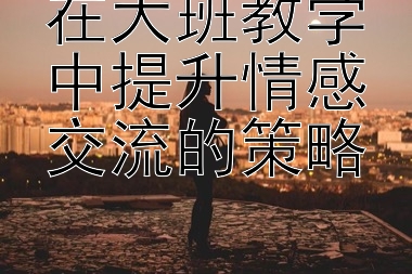 在大班教学中提升情感交流的策略