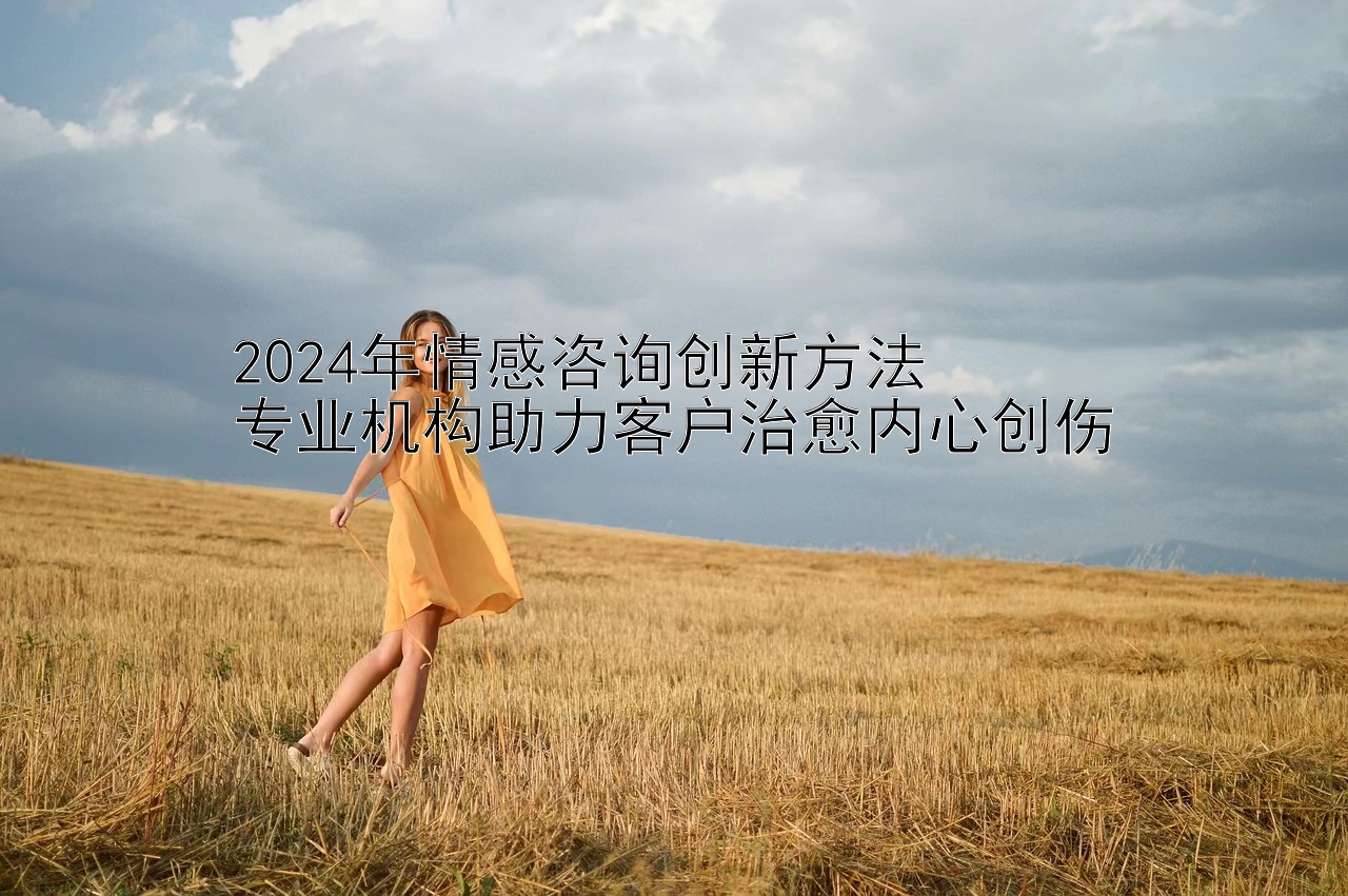 2024年情感咨询创新方法  
专业机构助力客户治愈内心创伤